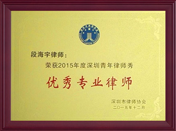 2015年度深圳青年律所优秀专业律师